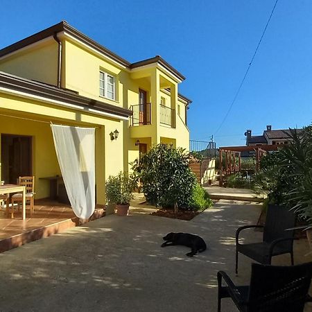 Antonio Solimar Apartments Porec Esterno foto